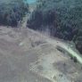 Crash of Flight 93 - photo